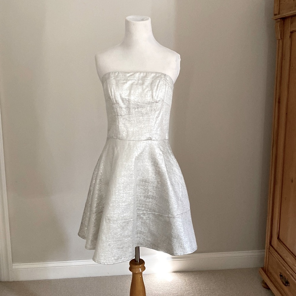 NWT EXPRESS Metallic Silver A-Line Strapless Party  Dress Size 6